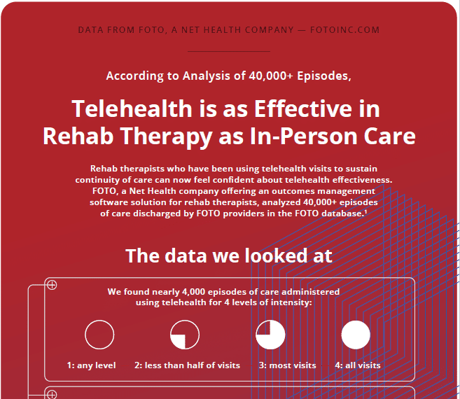 Telehealth in Rehab Therapy data